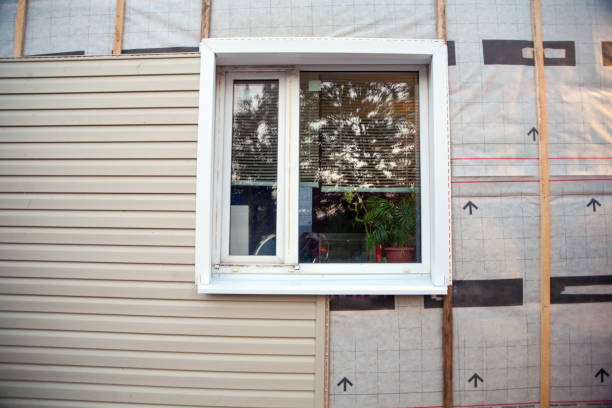 Affordable Siding Repair and Maintenance Services in Pocomoke City, MD